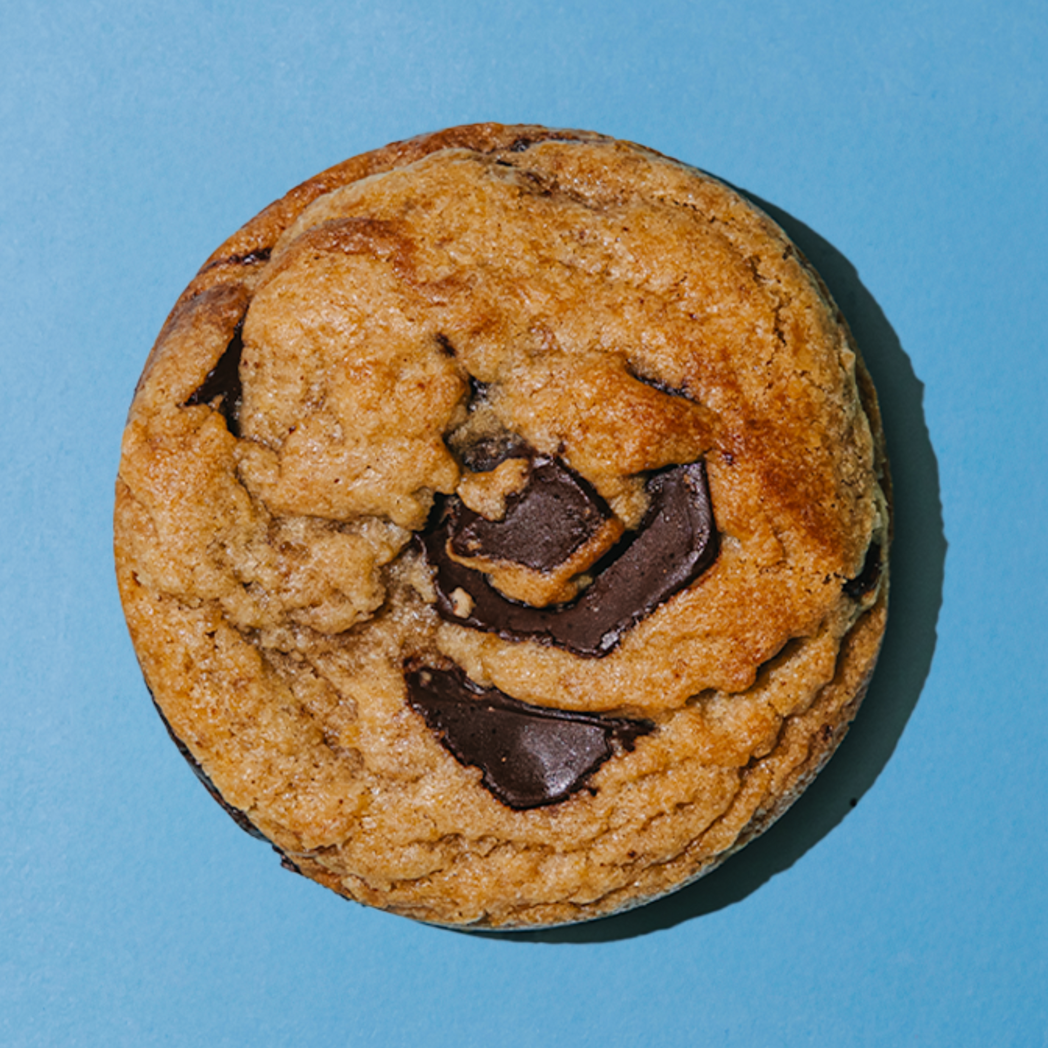 Choc_Chunk_2048x.png?v=1732881883